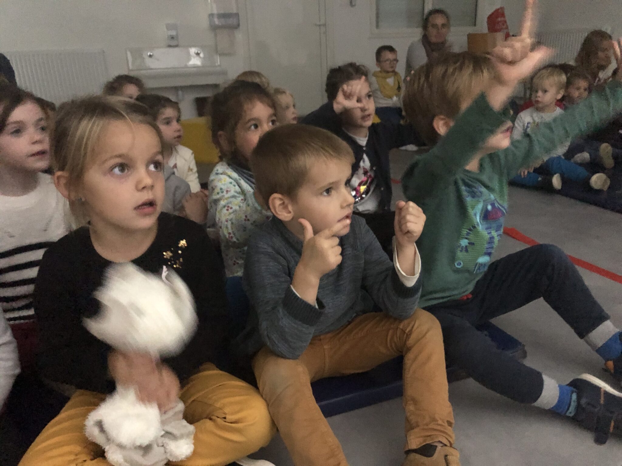 le-spectacle-plan-te-m-mes-l-cole-ecole-saint-joseph